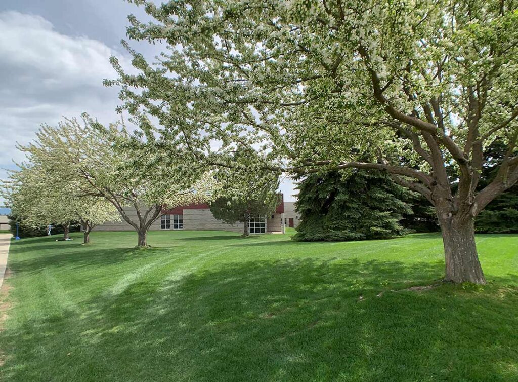 green grass and blooming trees on campus