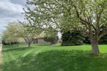 green grass and blooming trees on campus