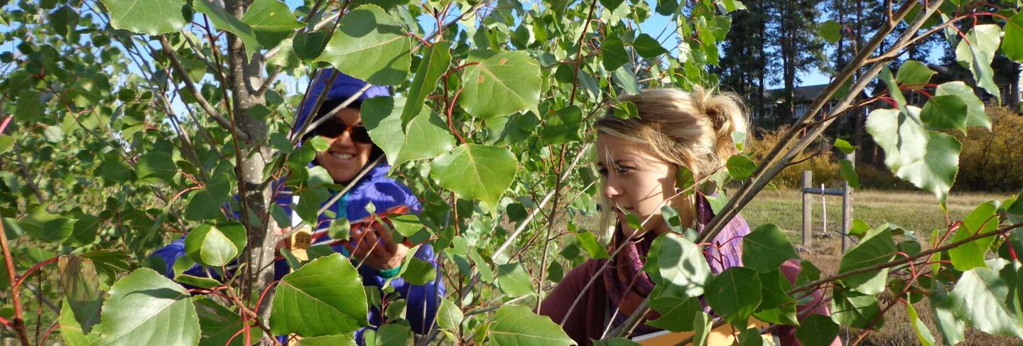 Students studying tree