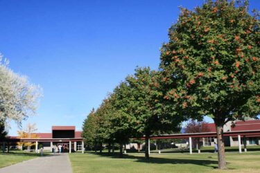 Campus in summer