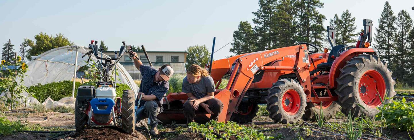 Students on campus farm