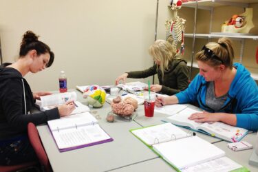 Students studying anatomy