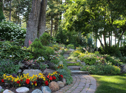 a sunny lawn and garden