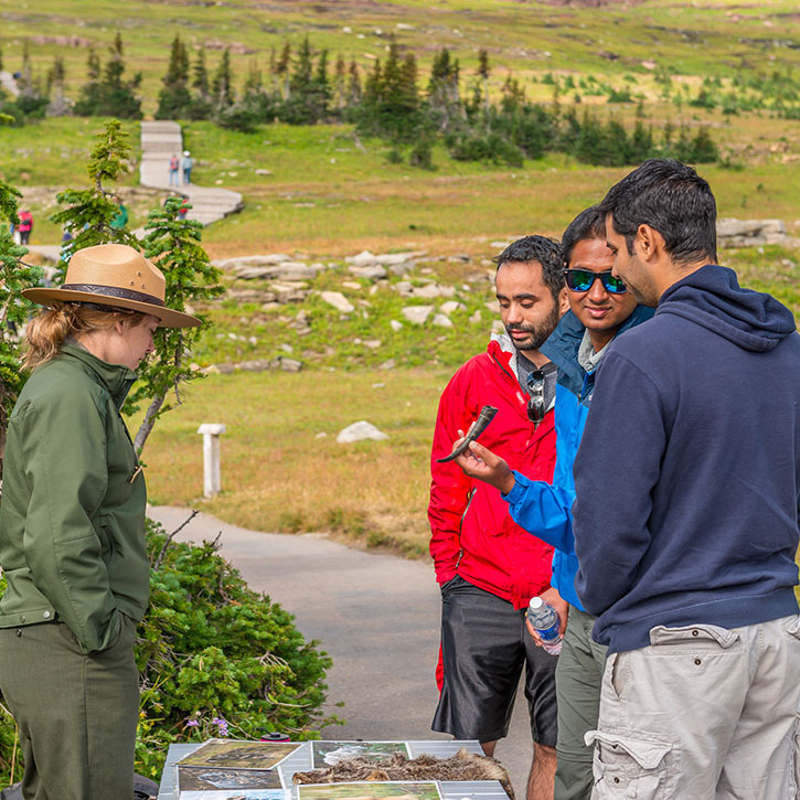 Explore northwest Montana