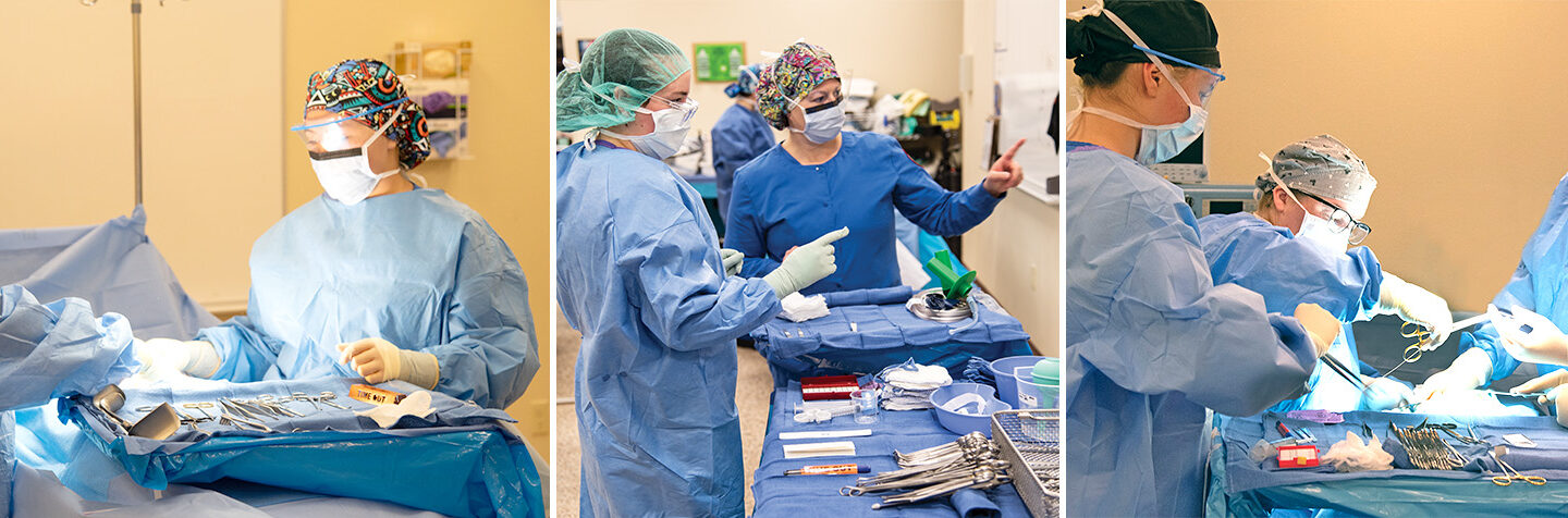 Surgical Technology (AAS)