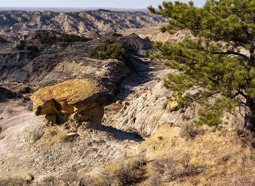Beautiful landscape at a dinosaur state park in Montana